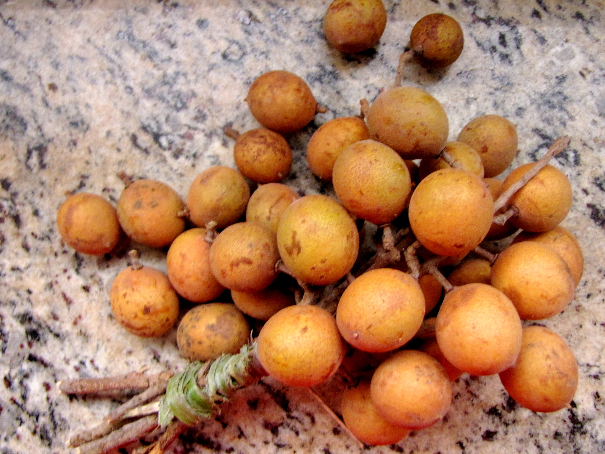 several small fruits on a marble surface near some twigs