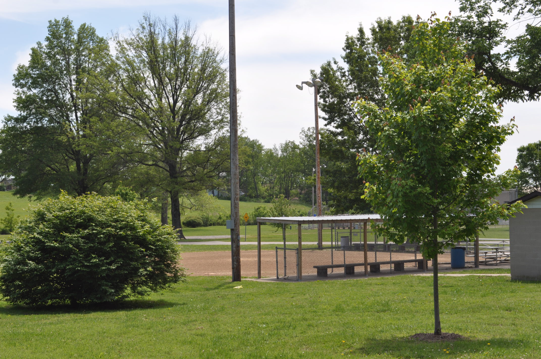 an empty park with benches and trees