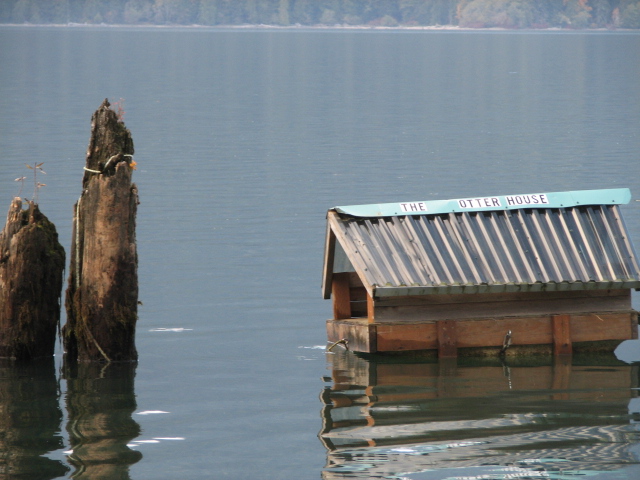 there is a house sitting in the water