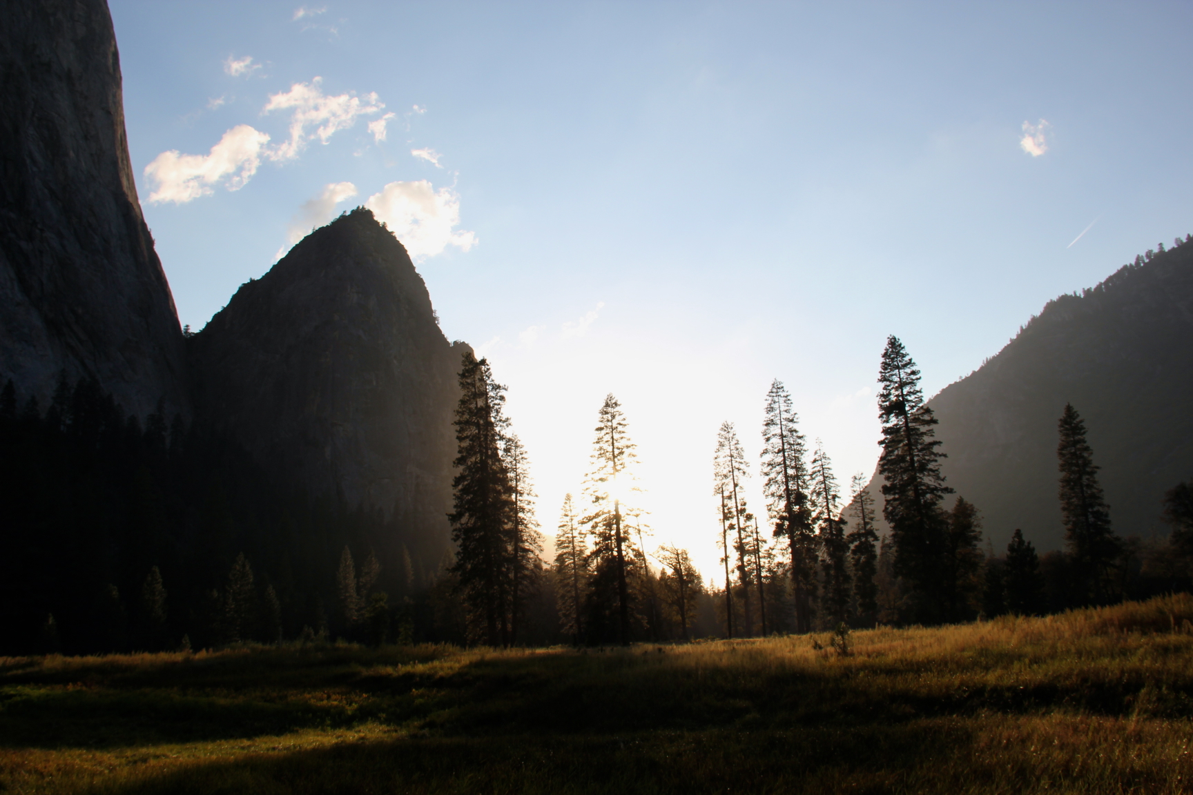 some very tall trees a mountain and mountains