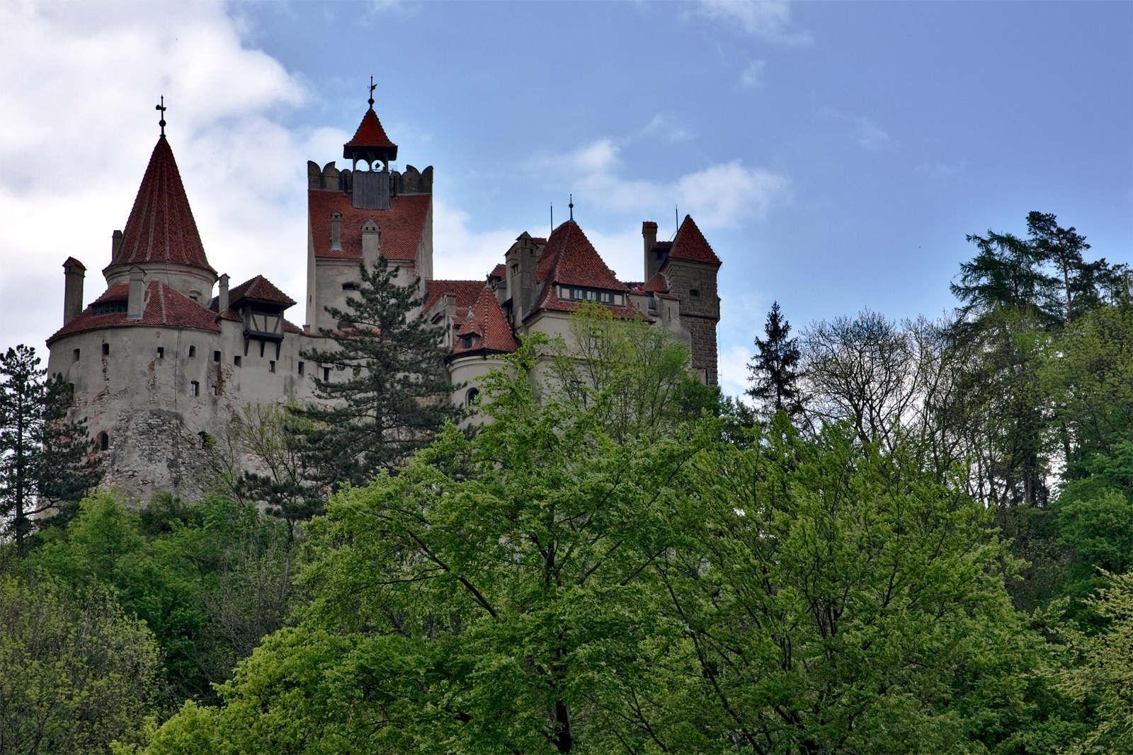 castle on the cliff with trees and a tree nch below it