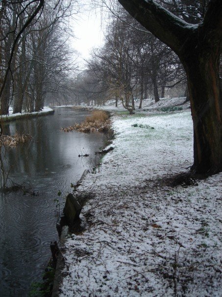 a snowy landscape with small river and trees