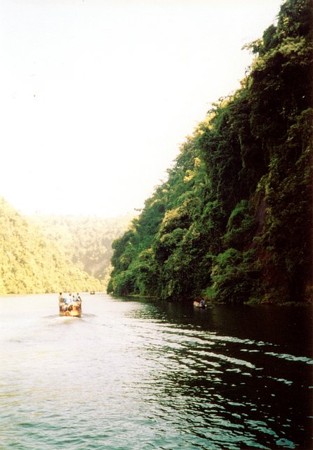 people are boating in small boats along a narrow river