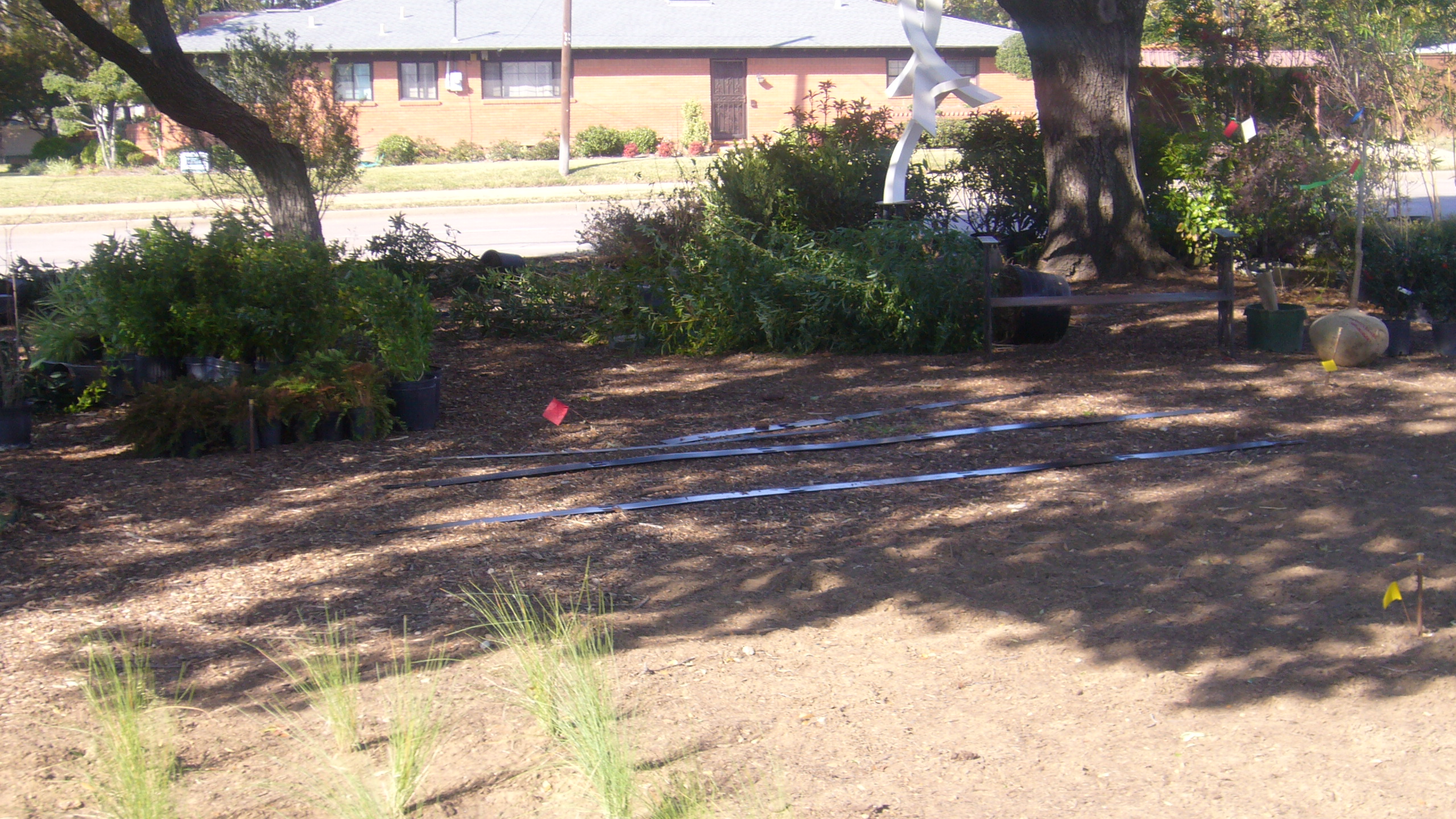 several plants and bushes are growing along the path in a yard