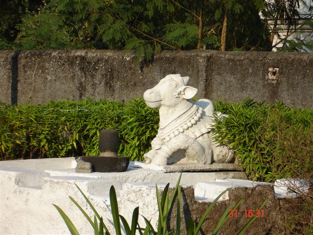 a statue of a dog sits in the garden