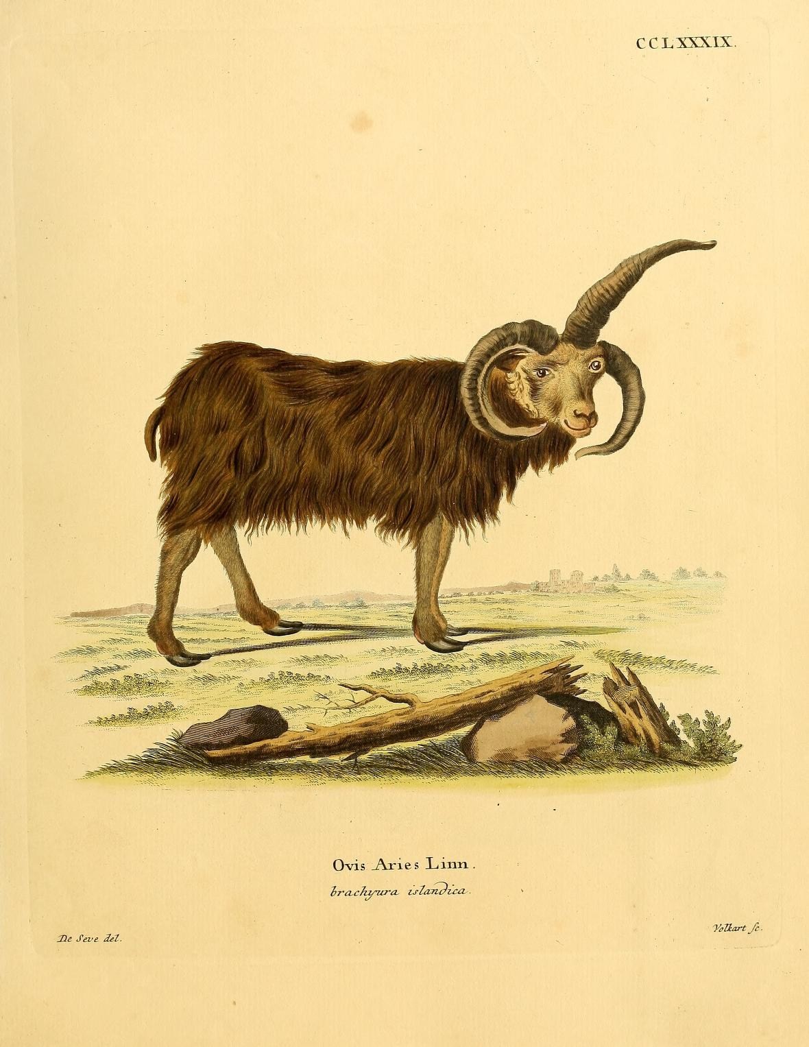 an illustration of a long horned animal standing next to another creature