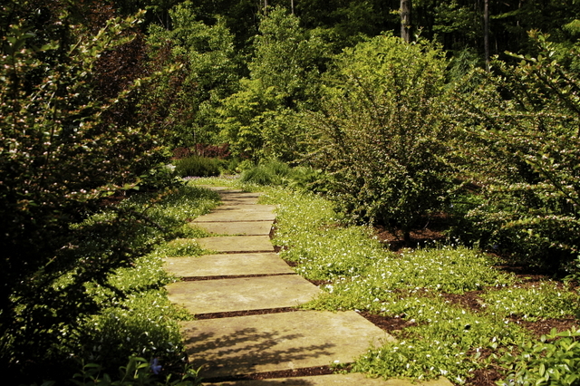 a pathway is surrounded by some bushes and flowers