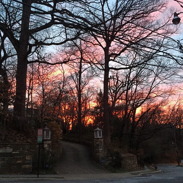 an image of a sunset on a street with trees and bushes