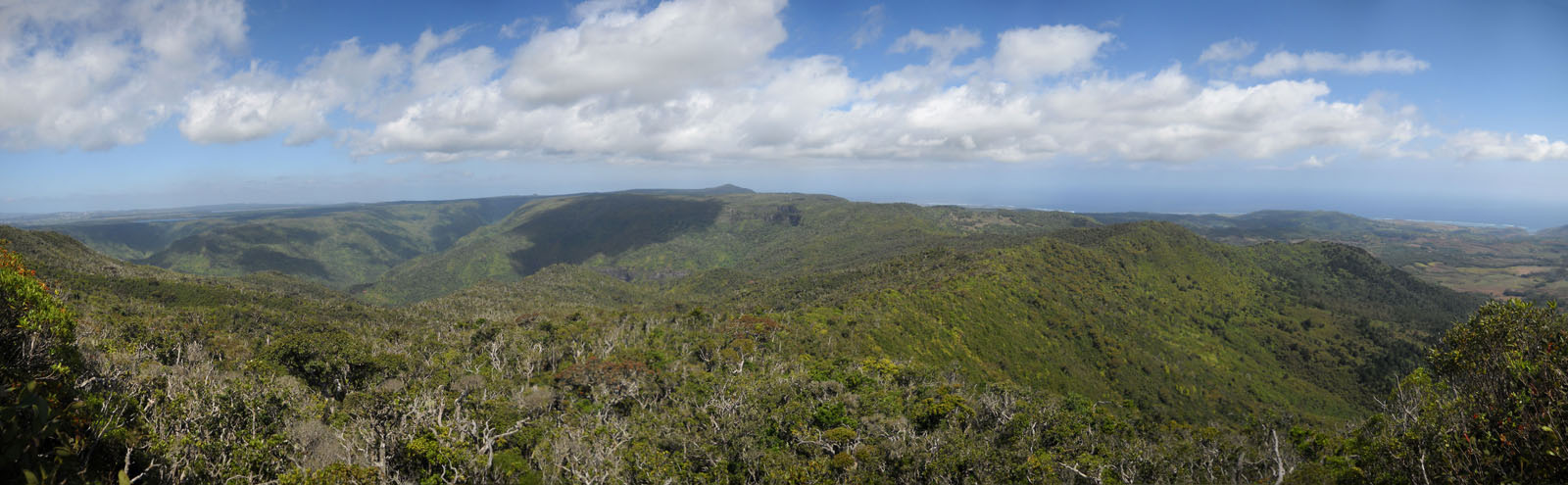 a scenic view of mountains and trees under blue cloudy skies