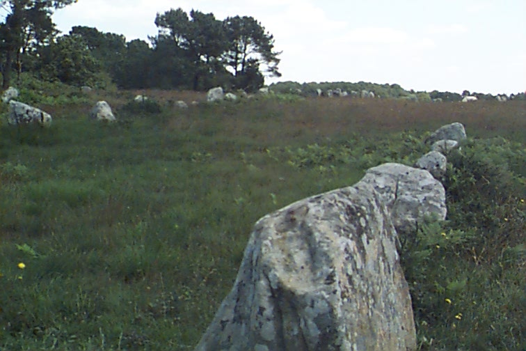 a grassy field filled with rocks and shrubbery