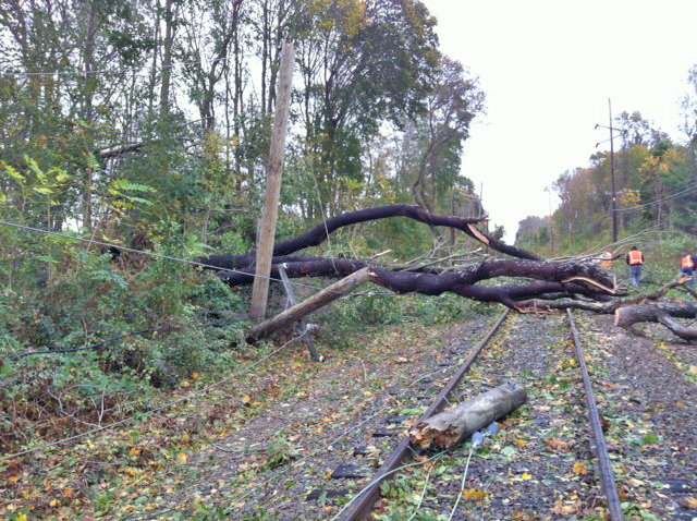 a fallen down tree sitting on the side of a railroad track