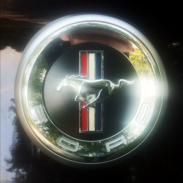 an old mustang emblem mounted on a building