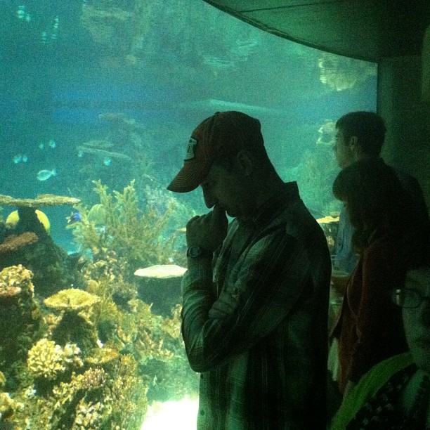 a man and woman are standing in front of a large aquarium