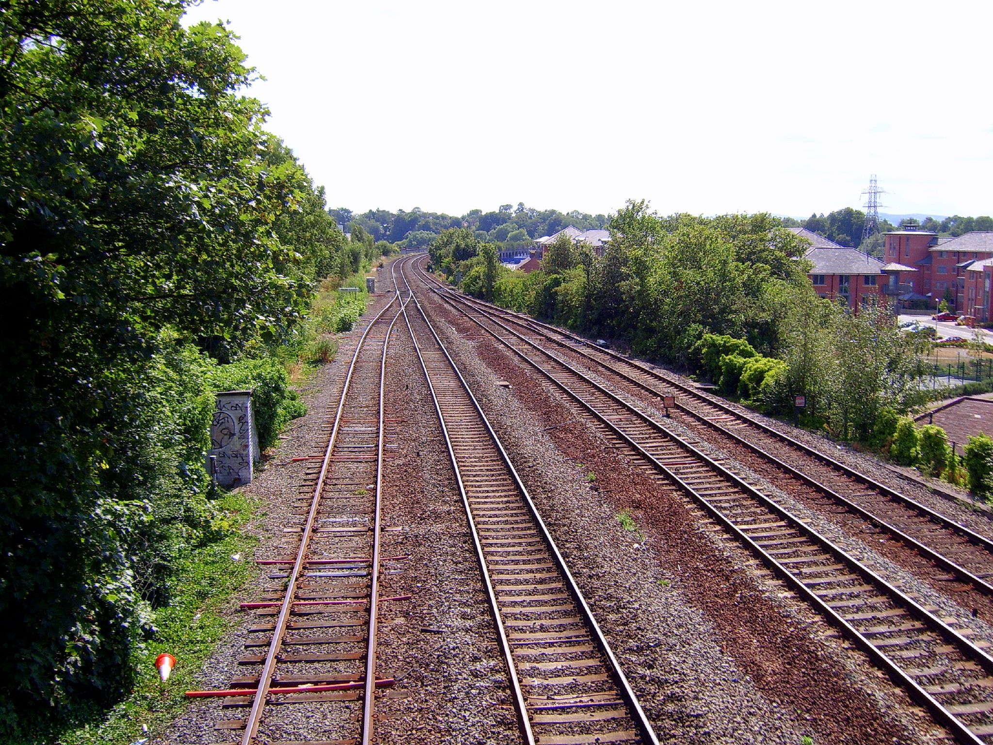 several railroad tracks running between a wooded area