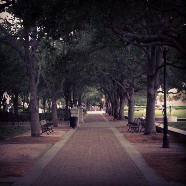 a tree lined park with benches and trees