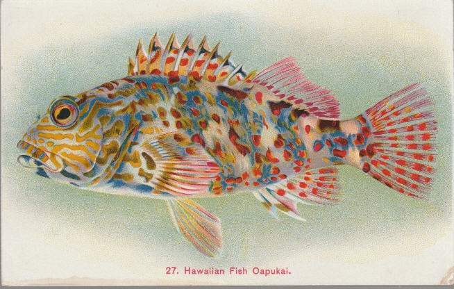 a picture of a fish on the front