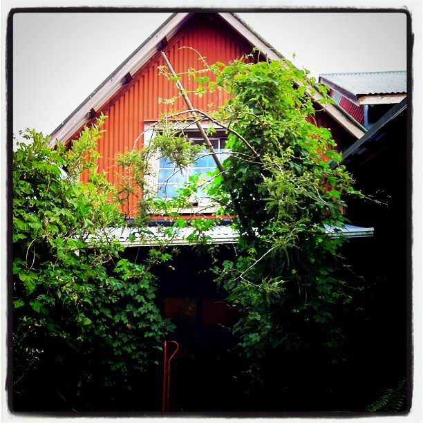 a house with many green leaves and nches
