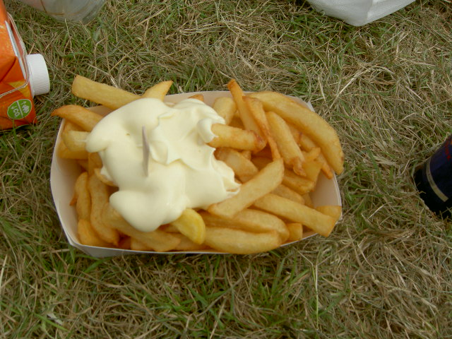a container of fries that have been eaten and some sort of mayonnaise on top