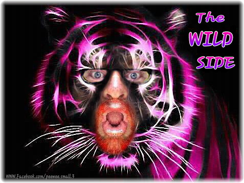 a po of a pink tiger face in front of a black background