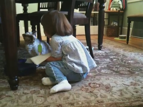 a child sits on the floor near a table with a stuffed animal