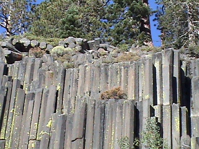 a stone wall with trees on it