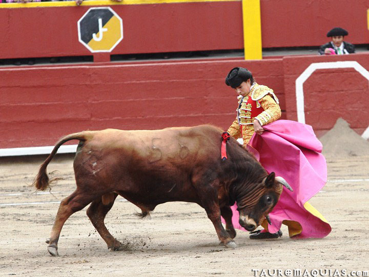 a man dressed in costume next to a bull