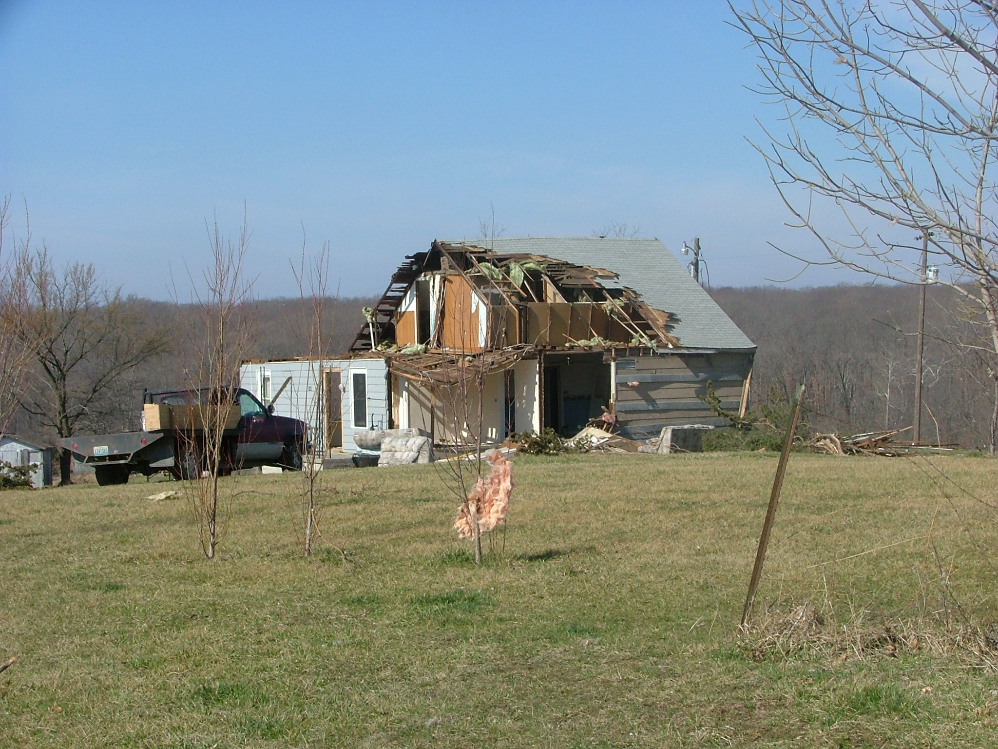 a cat is walking away from a house with broken walls