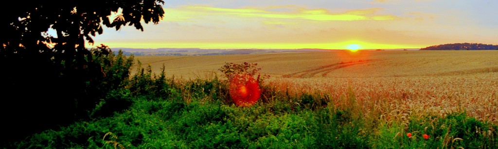 a po of a sunset over a grassy plain