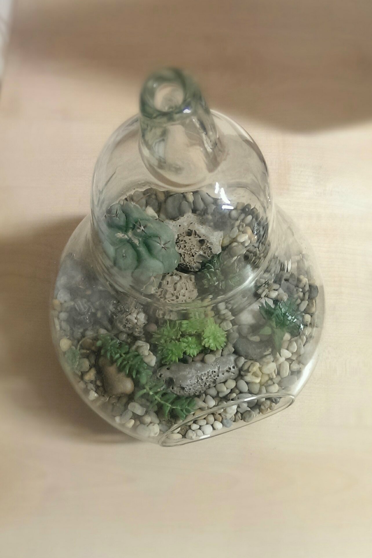 a glass pot filled with plants and rocks
