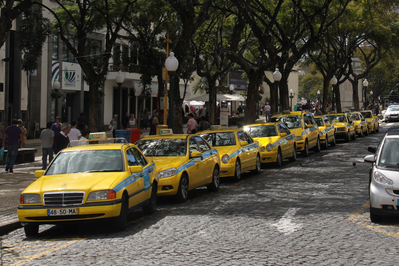 cars lined up with cabs on the street in an urban setting