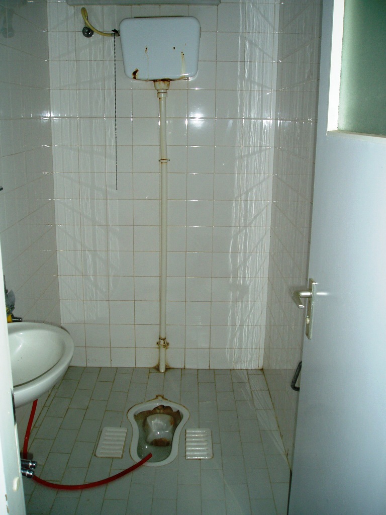 a bathroom that has a toilet with a shower head
