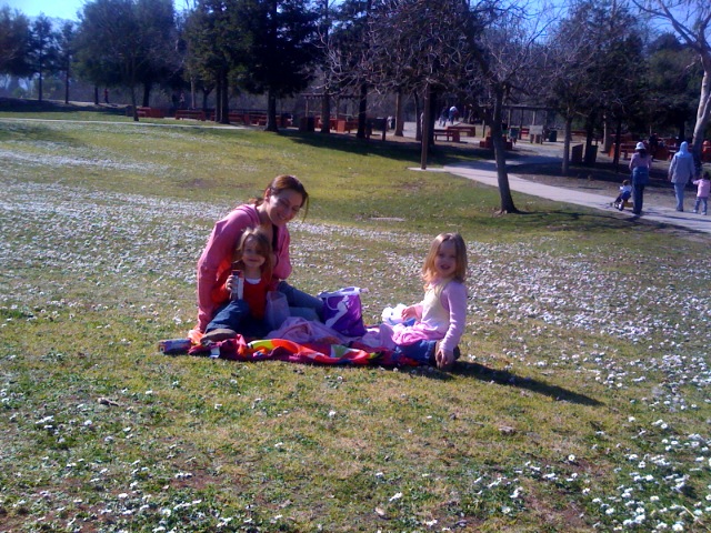 a woman, two little girls and an adult on a blanket in a park