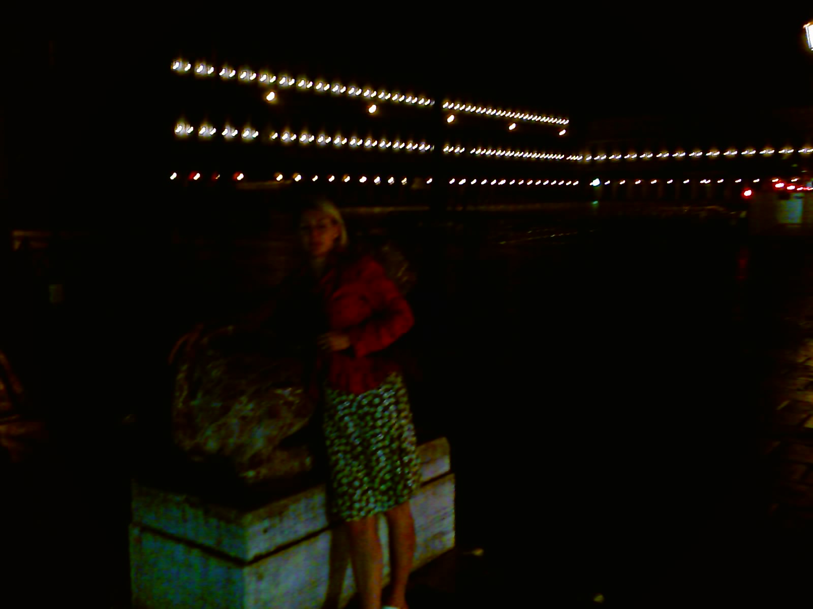 a woman in red standing in front of a night - time view