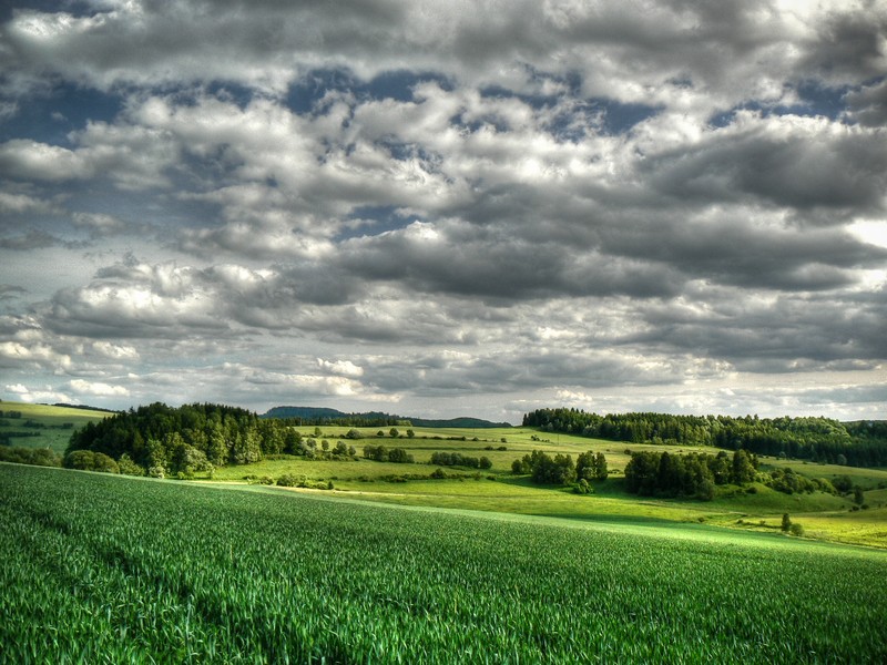 a cloudy day with grass in a field