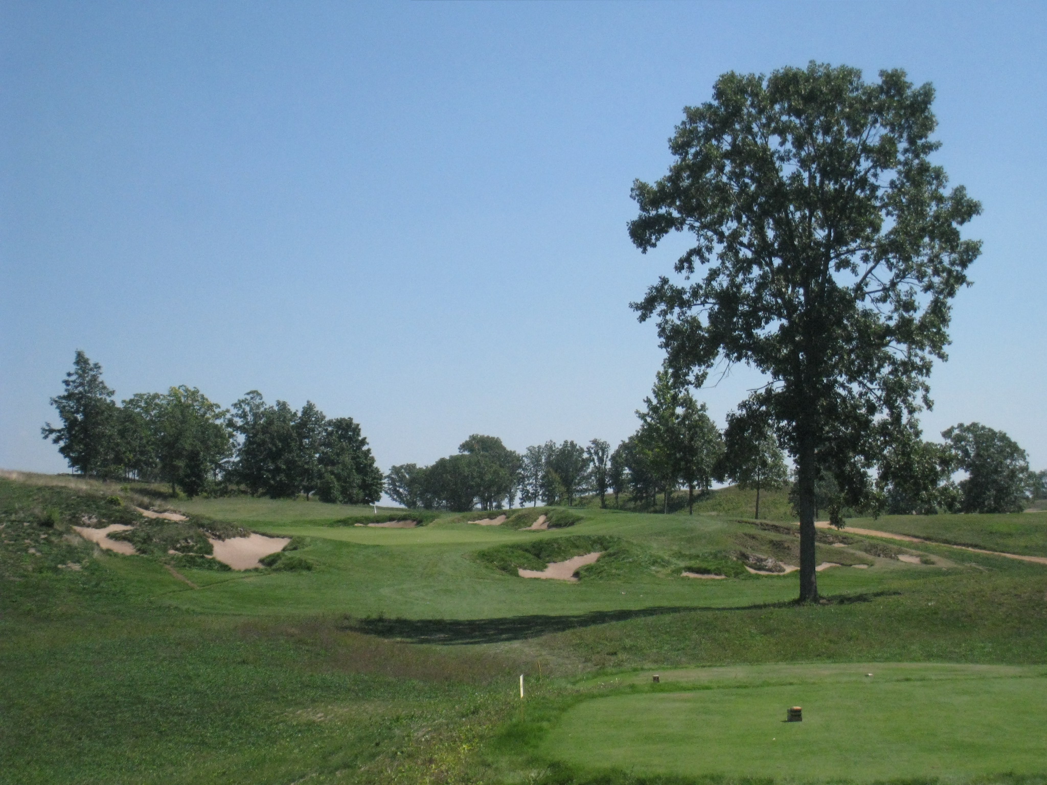 a grassy and small course near trees