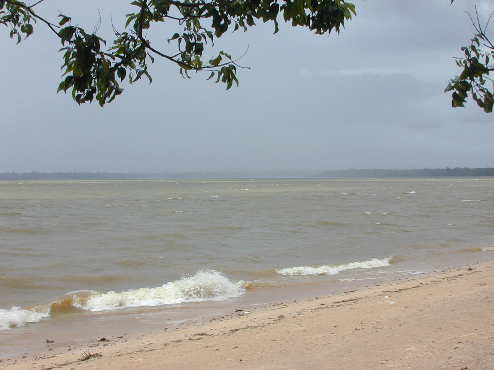 a large body of water on a sandy beach