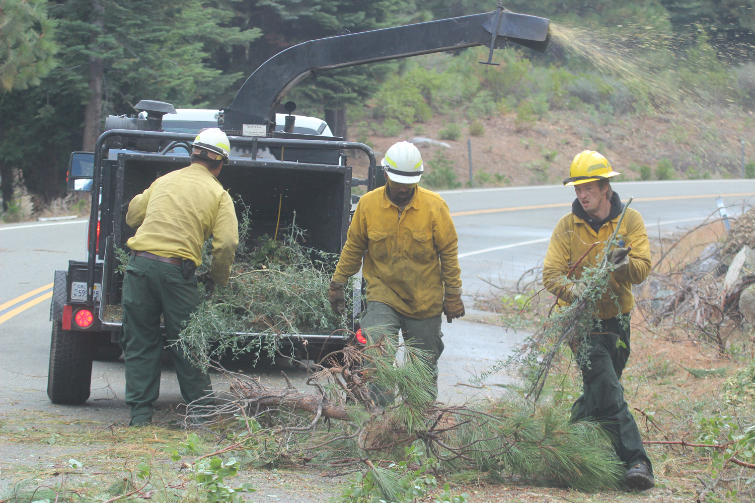 three firemen standing next to a truck and trees