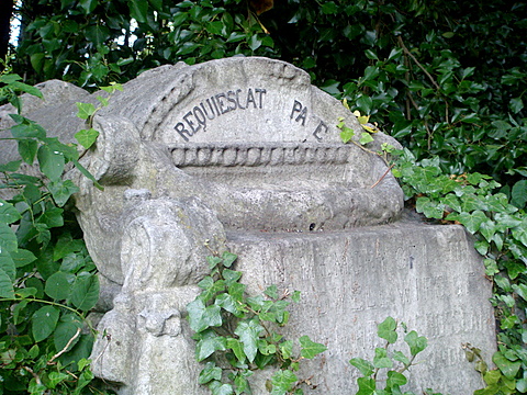 the head stone sits next to vines and leaves