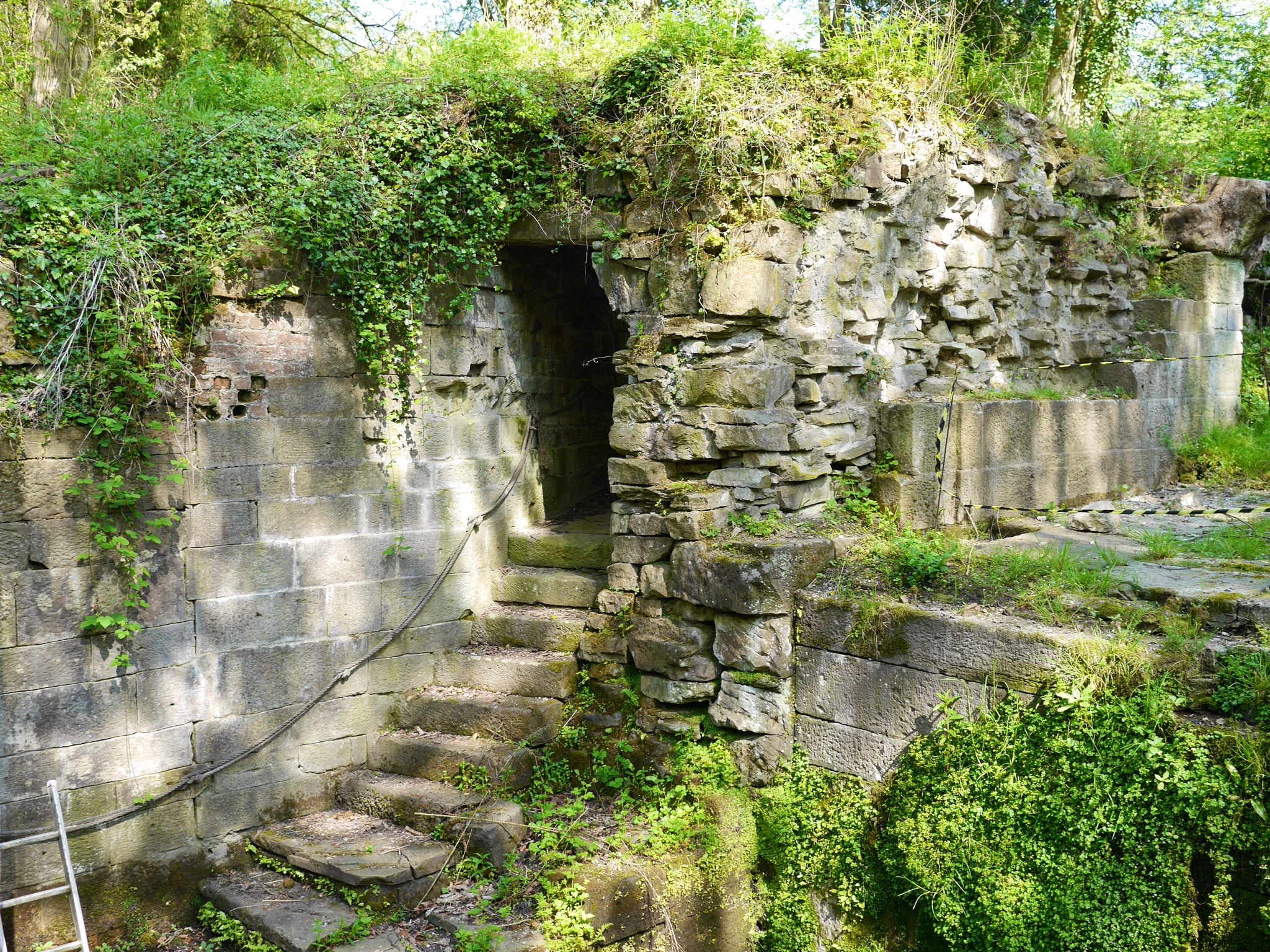 a staircase with lots of greenery and stone walls