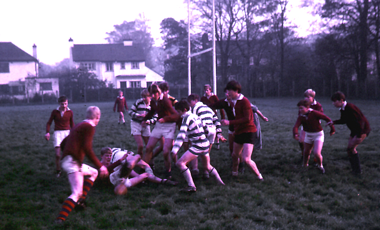 a group of people on a field playing rugby
