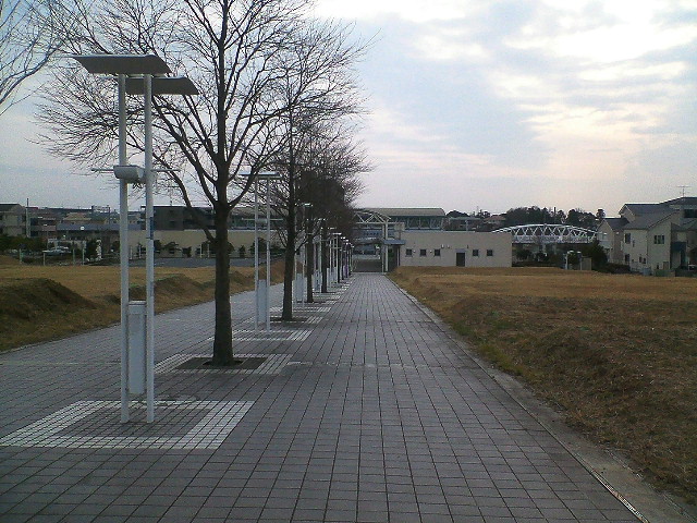 the empty sidewalk near the grassy area has several poles with different decorations on it