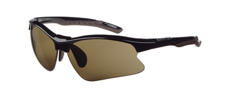 an image of the top part of the safety sunglasses