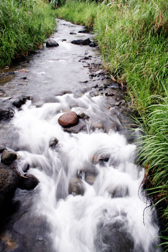 there is a flowing stream through the grass