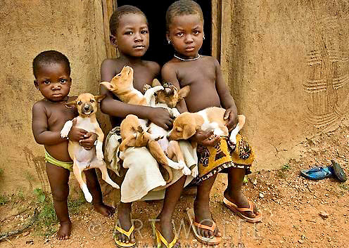 small group of three s holding puppies and posing for camera