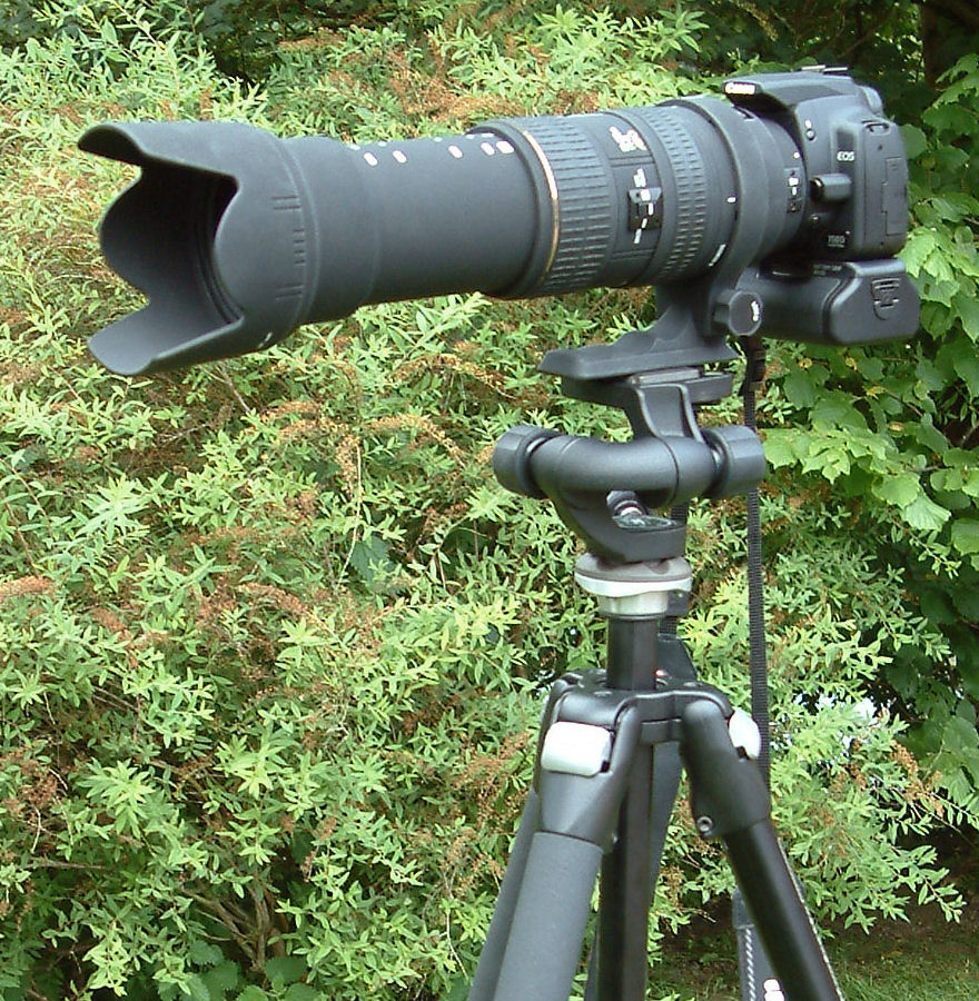 a camera with lens on a tripod in front of a tree