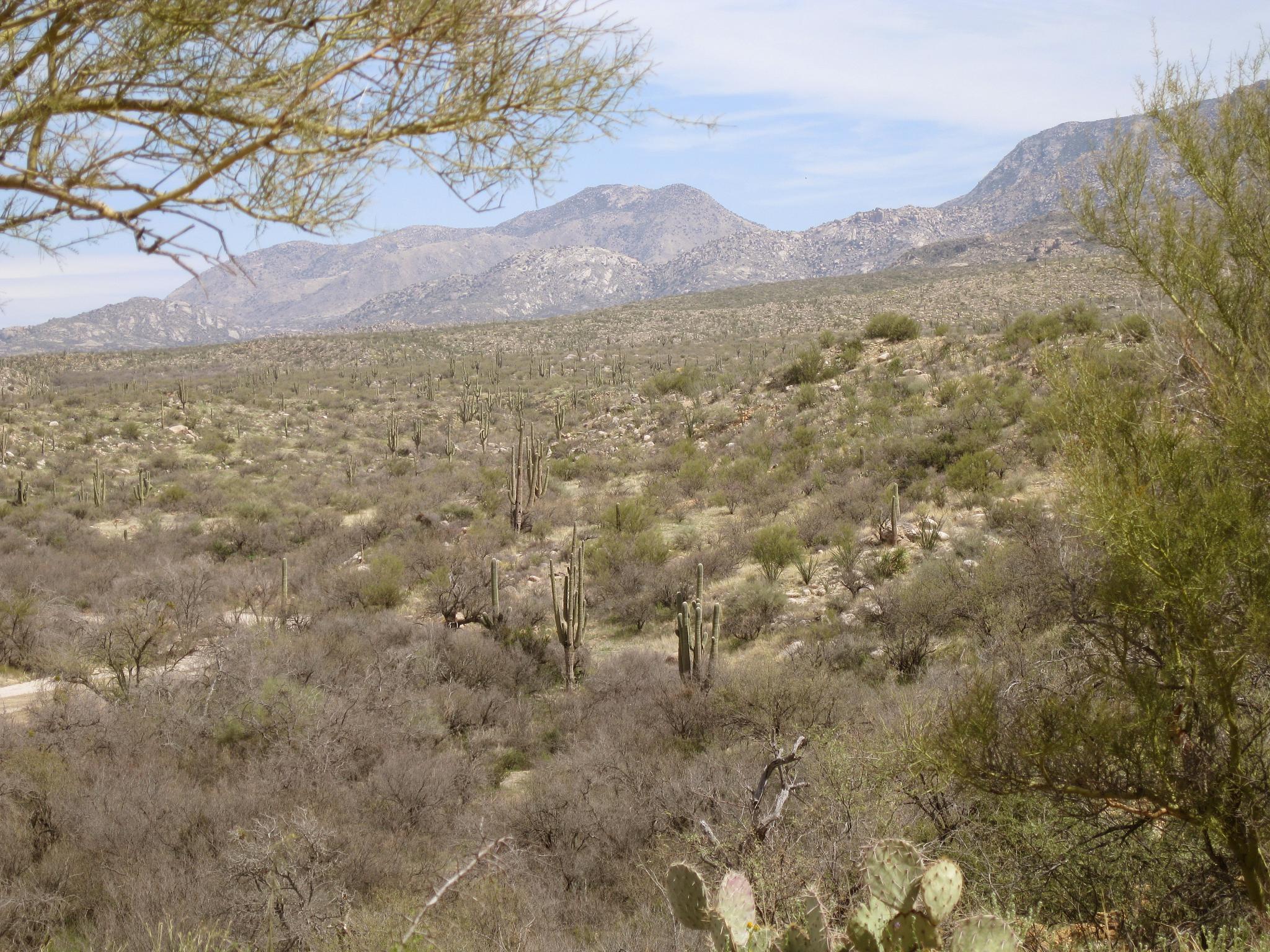 a desert landscape with many small mountains in the distance