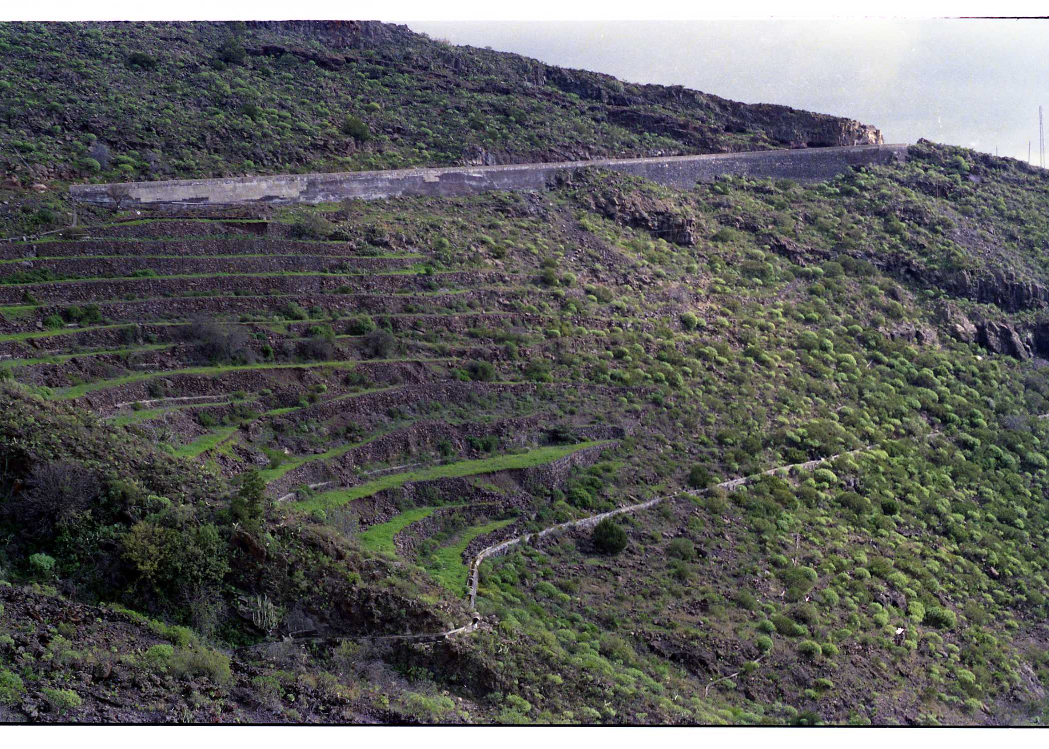 the hillside has many steps along it to climb