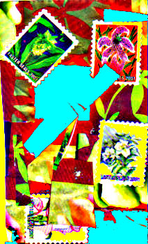 a series of pictures of flowers and post stamps