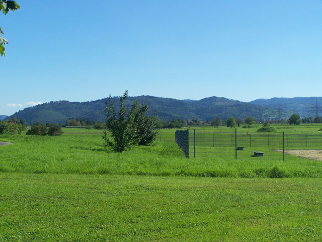 this is an image of a fenced pasture