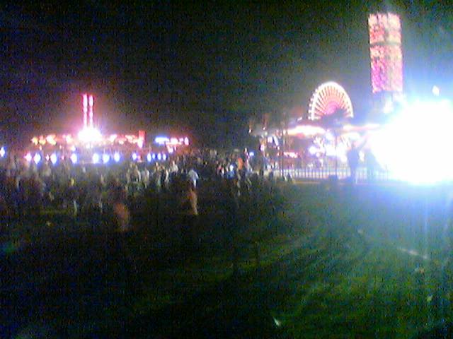 people enjoying the show in the night at the fair